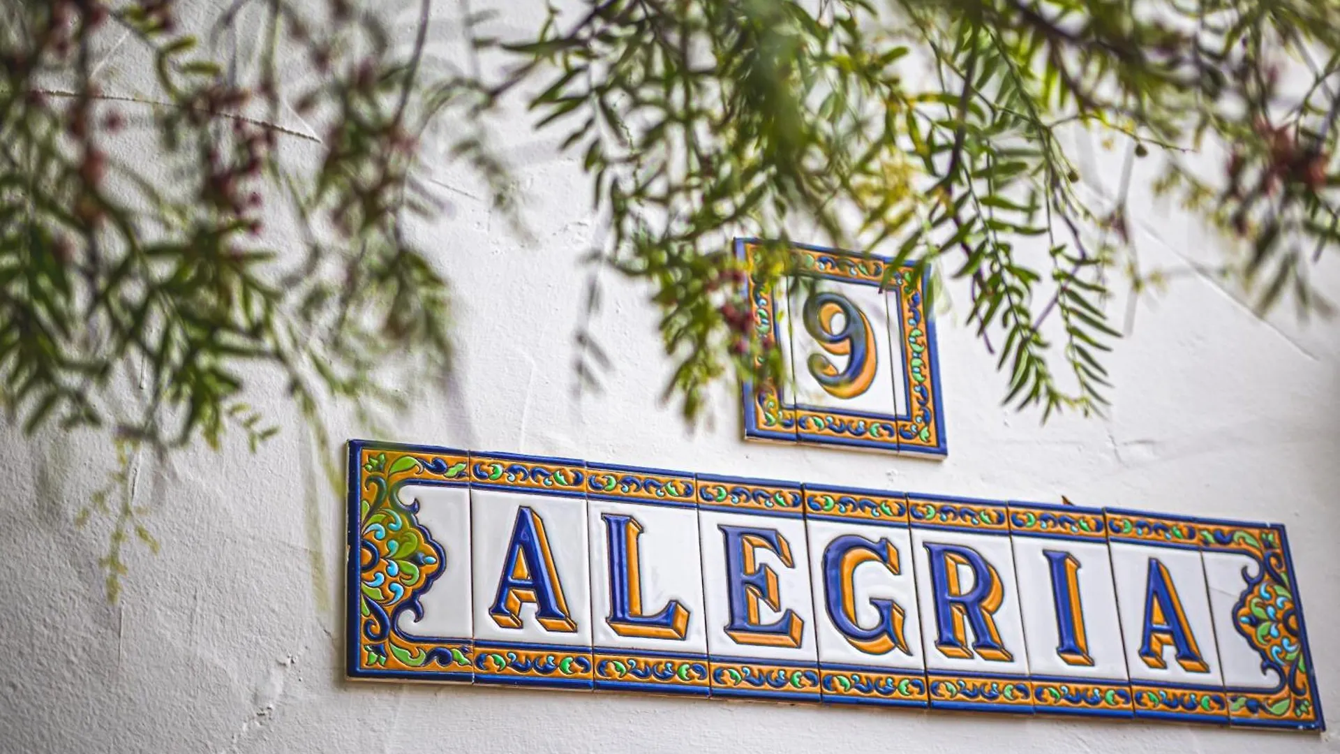 Villa Alegria Frigiliana 0*,  Spain