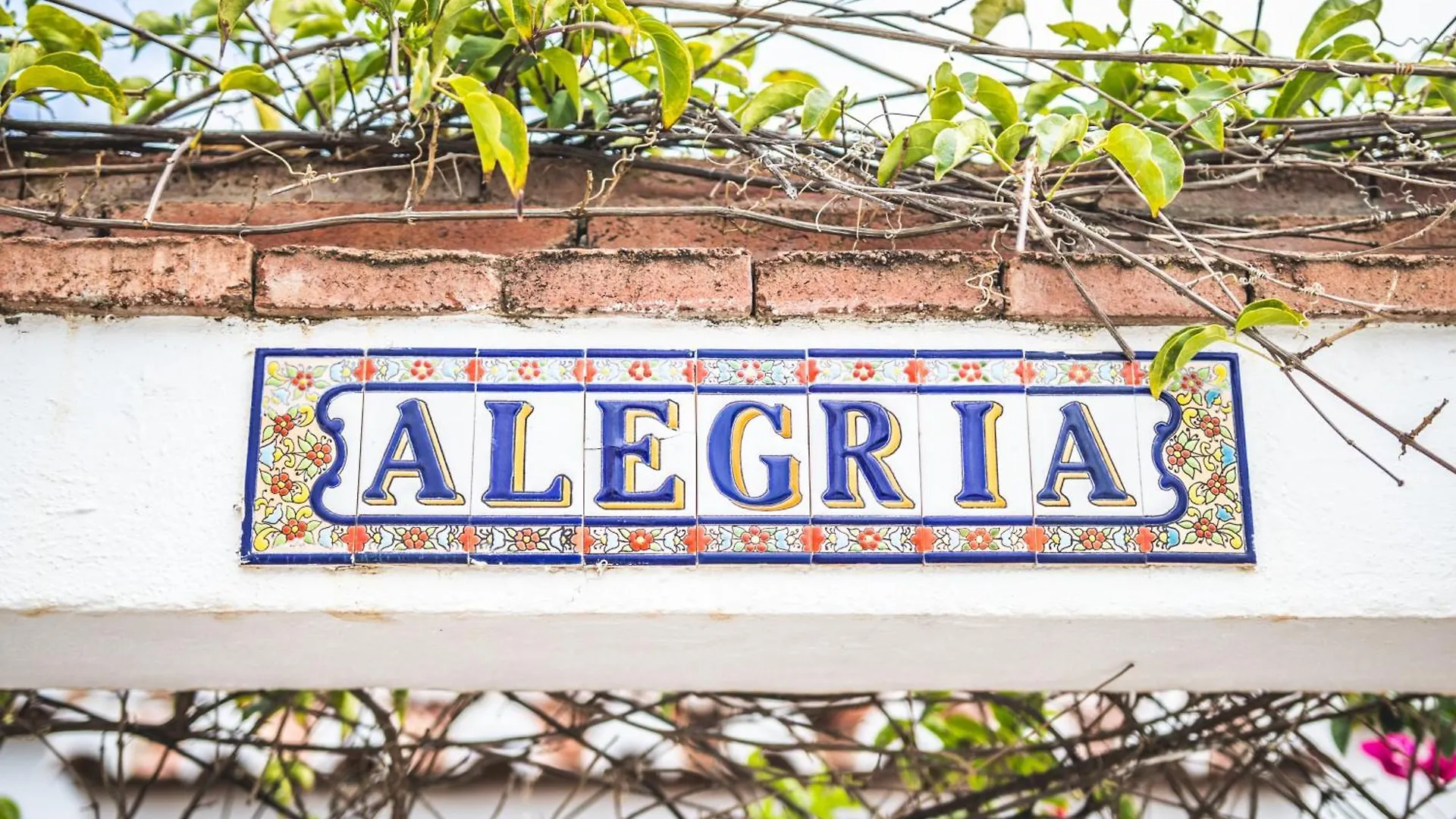 Villa Alegria Frigiliana Spain