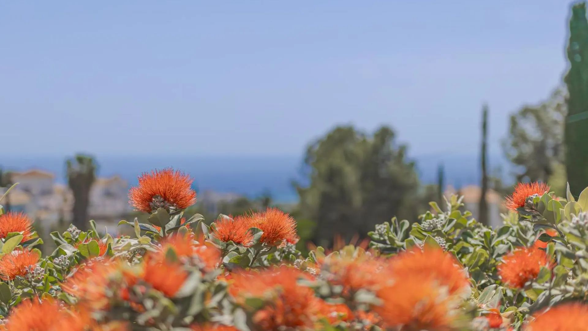 Villa Alegria Frigiliana